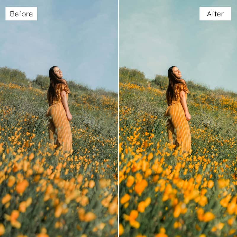 Before and after comparison of a woman in a yellow dress standing in a field of flowers edited with Kodak Ektar Look Video LUTs.