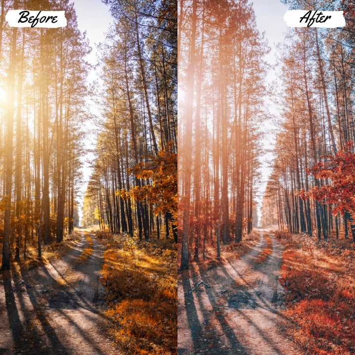 AUTUMN Play Presets