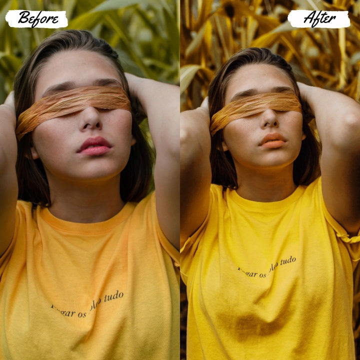 LEMON Play Presets