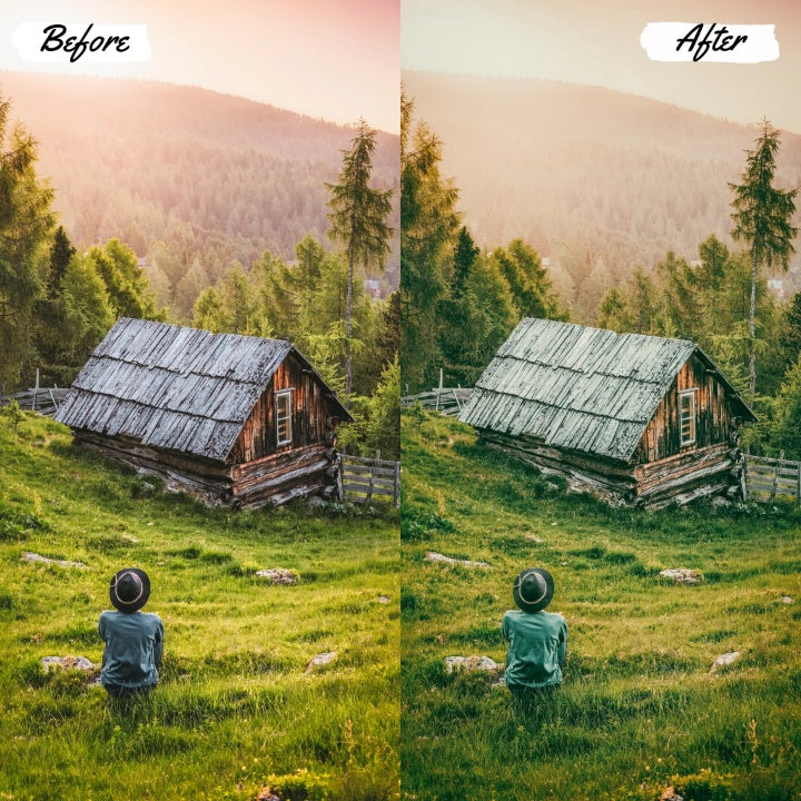 PICNIC FOREST Play Presets