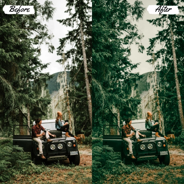 PICNIC FOREST Play Presets