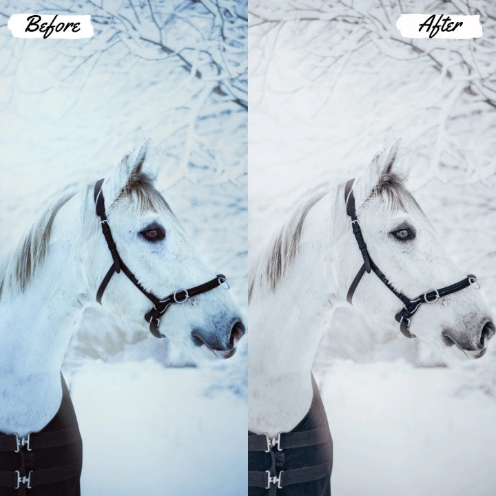 SIMPLICITY Play Presets