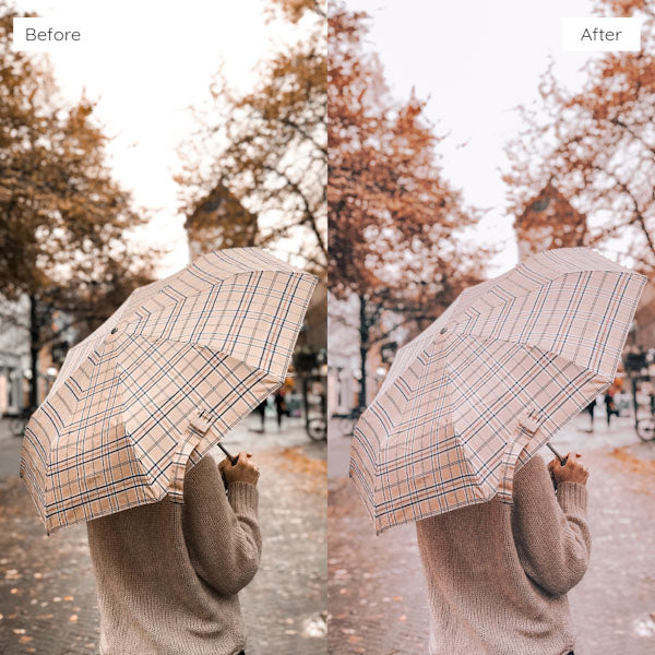 Before and after using Lightroom Presets to enhance photo colors and clarity.