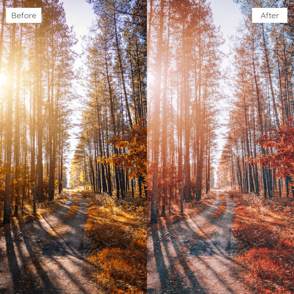 Before and after using Lightroom Presets to add warmth and richness to an image.