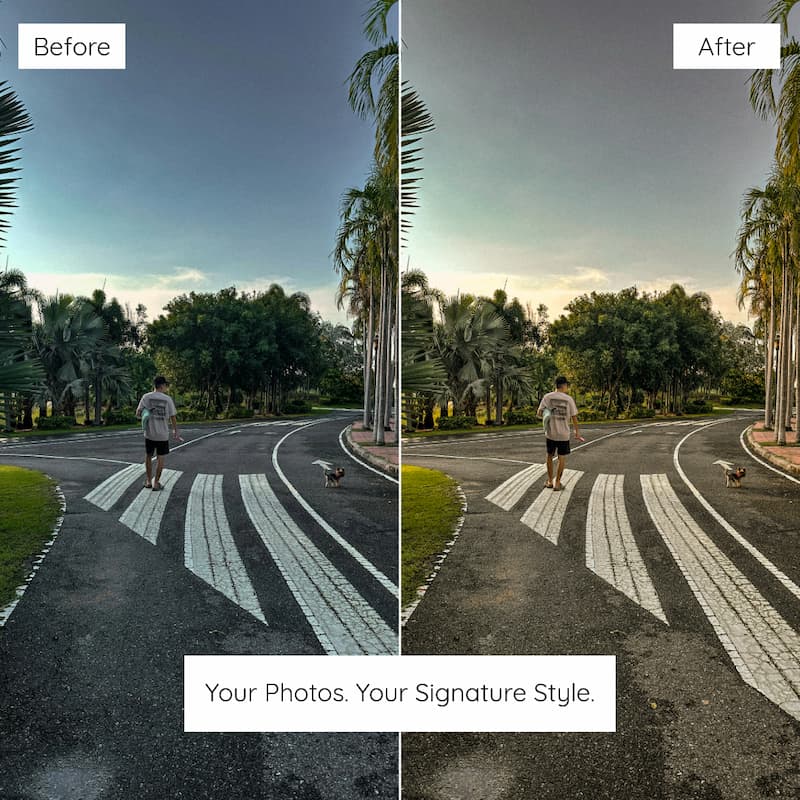 Before and after comparison of a person walking with a dog on a path with palm trees Edited with Bali Lightroom Preset