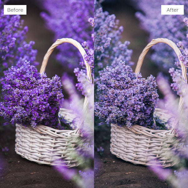 Before and after using Lightroom Presets to add warmth and richness to an image.