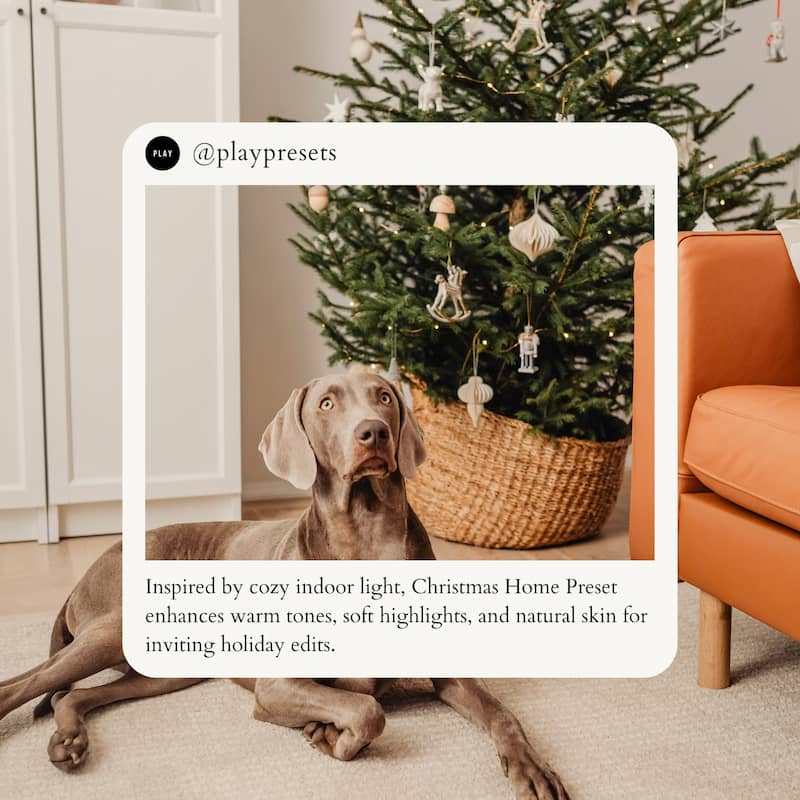 Christmas Home Lightroom preset cozy indoor warm lighting home decor holiday photo edit