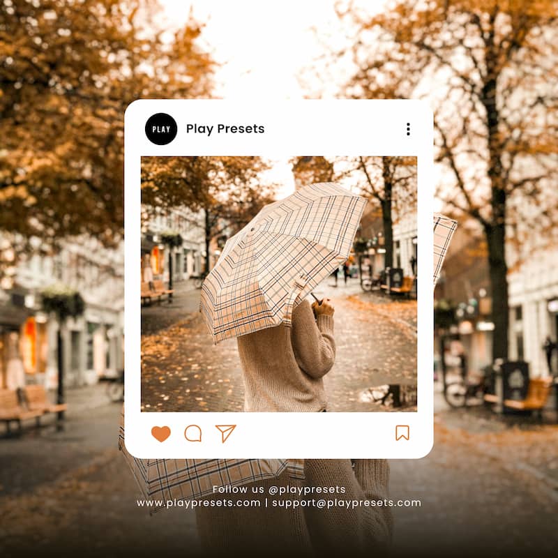 Person holding a checkered umbrella in an autumnal street scene with 'Play Presets' 