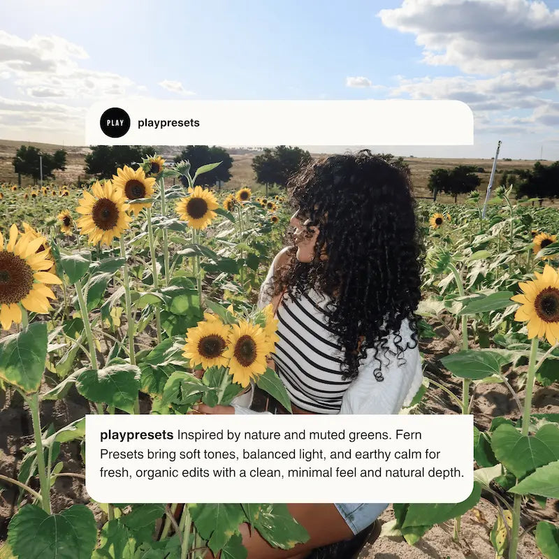 Fern Lightroom presets preview showing a sunflower field portrait with natural greens, balanced warmth, and fresh botanical color