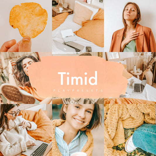 TIMID Play Presets